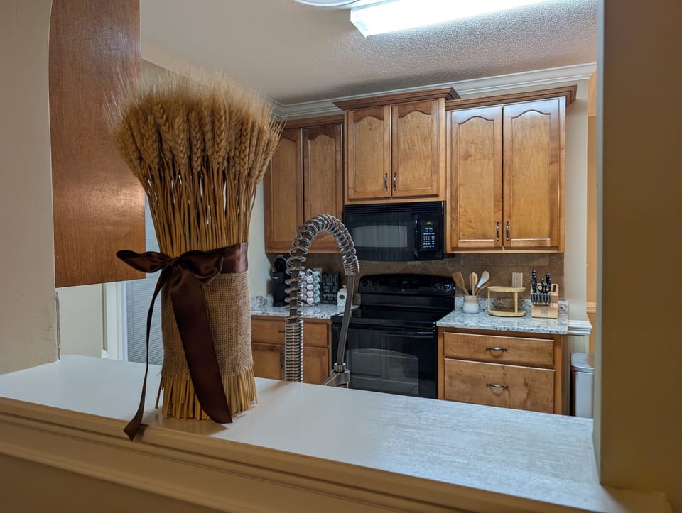 Kitchen front view