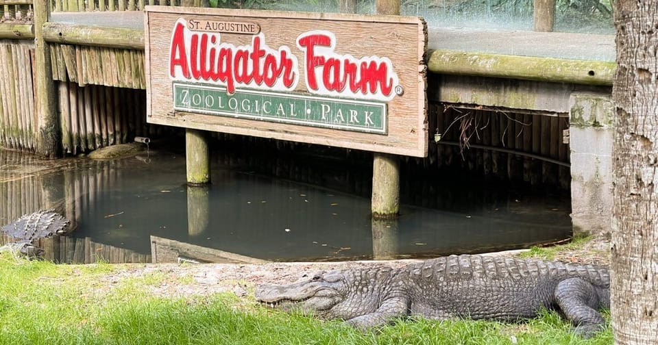 Drive 10 minutes to the Alligator Farm and let the kids (or you) meet the locals — there's a reason this is one of Florida's most beloved zoological parks.