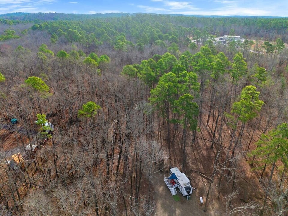 Camp among the trees
