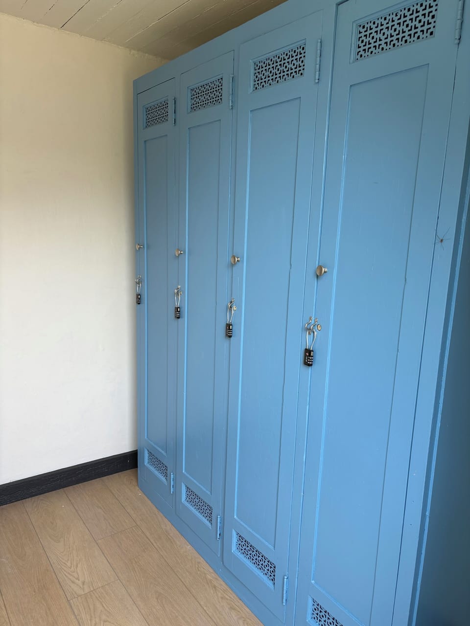 Extra storage for skis + items