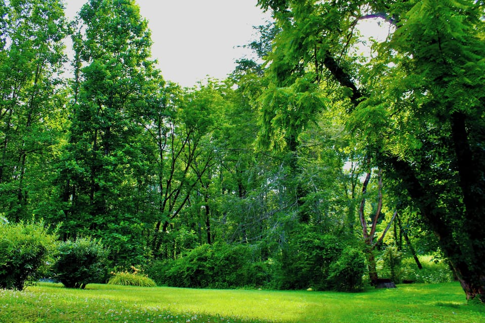 Natural mountain setting near Pisgah National Forest and Downtown Brevard