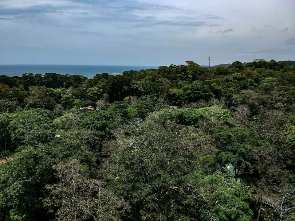 Villa, 2 Bedrooms, Private Pool, Garden View | Miscellaneous