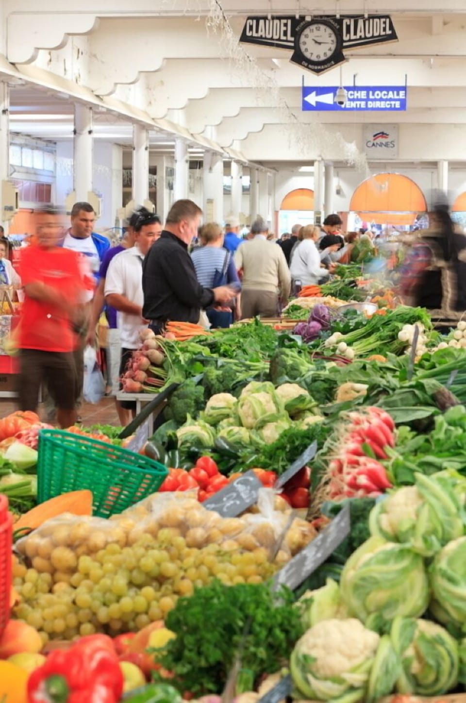 Miscellaneous