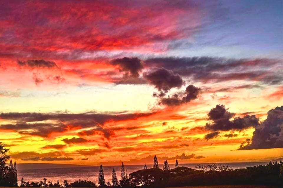 Golden hour lights up the sky in fiery tones over the ocean, with palm trees and pines framing the unforgettable Kapalua sunset view.