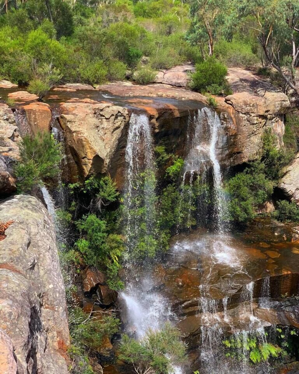 Take a short drive to discover nearby bushwalks that lead to cascading waterfalls, offering serene moments immersed in nature.