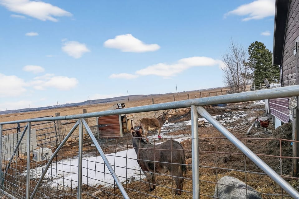 Outdoors, Nature, Countryside, Rural, Farm