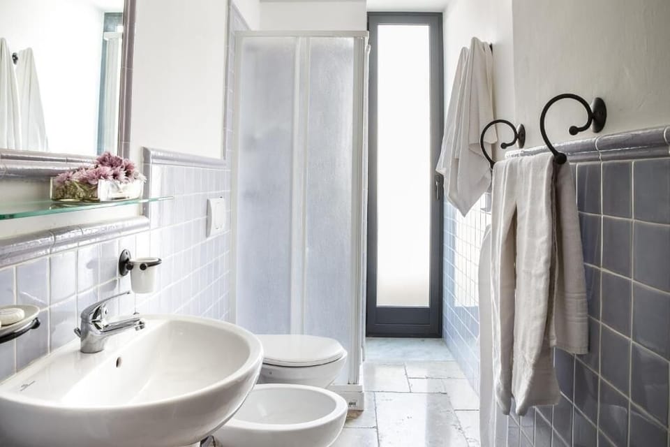 Shower, free toiletries, hair dryer, towels