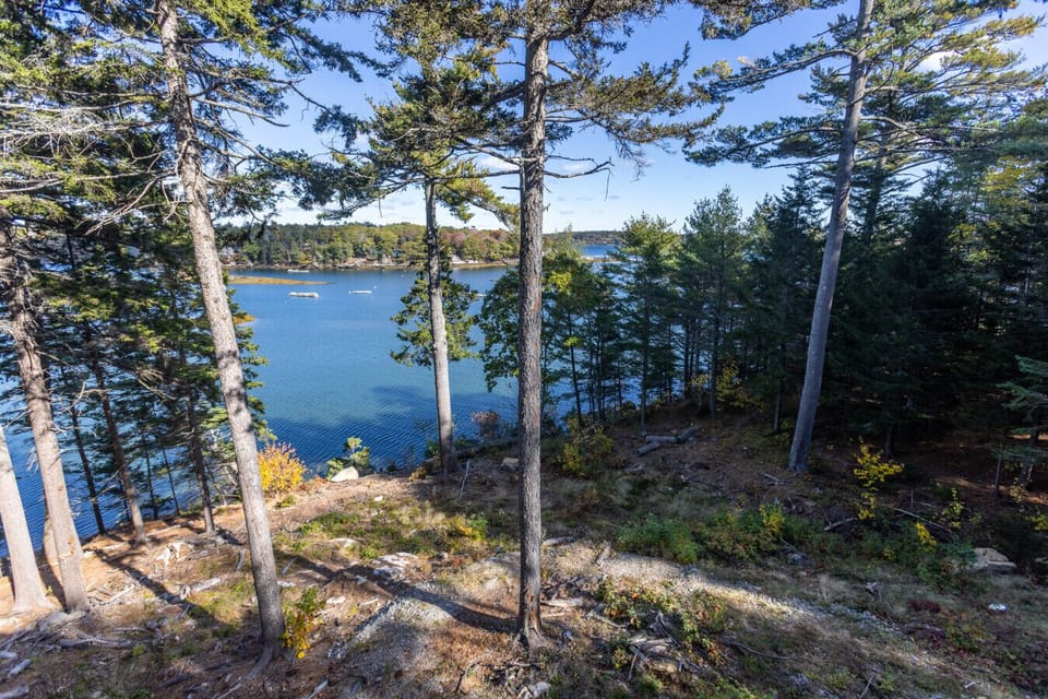 Expansive natural grounds offering endless exploration - stroll through the trees, enjoy ocean breezes, and reconnect with nature.