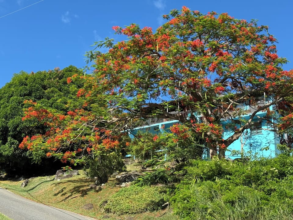 The front of the house from the road. The apartment is the bottom floor.