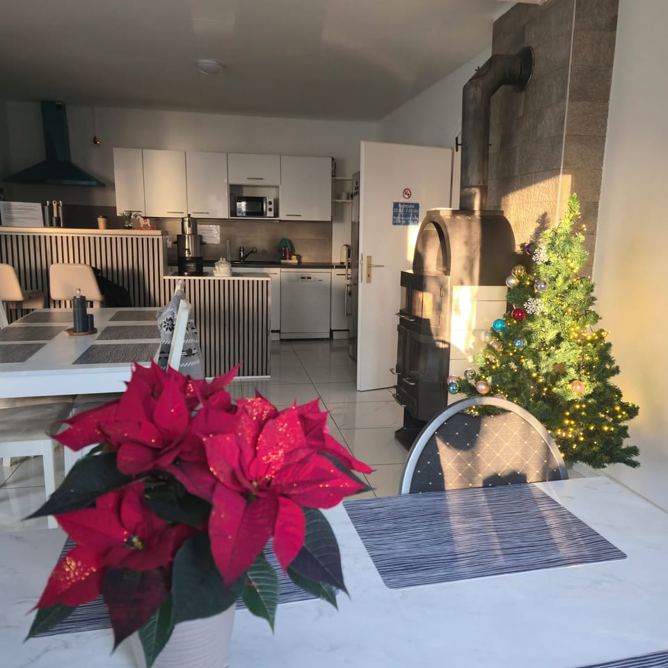 Oven, stovetop, dishwasher, toaster