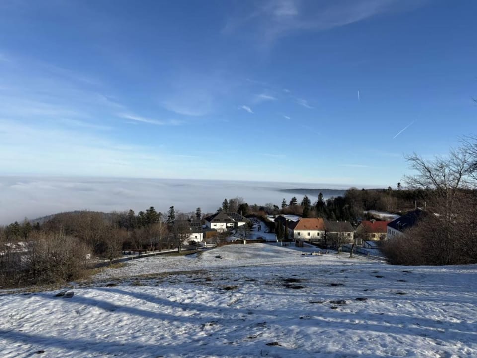 Region [winter] (>5 km)
