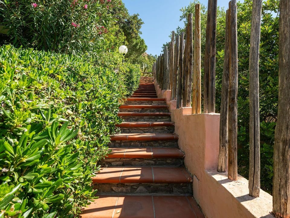 Shrub, Garden, Spring, Shade, Landscaping, Walkway, Botanical Garden, Flowerpot, Fence, Home Fencing