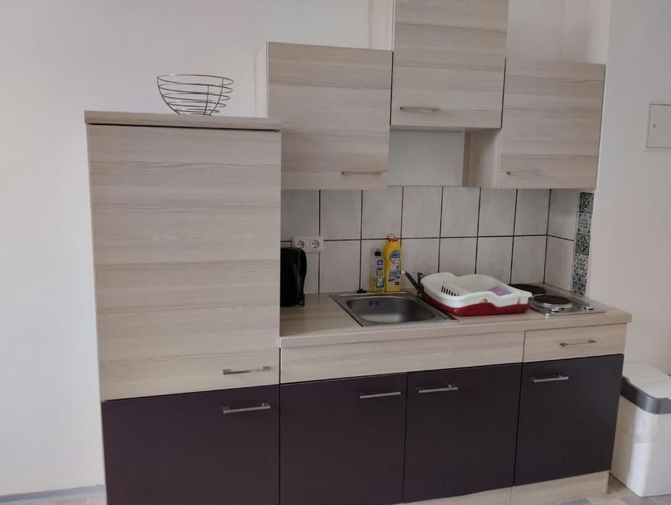Standard Studio, Private Bathroom | Private kitchen | Full-size fridge, electric kettle