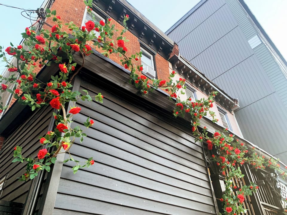 Exterior detail