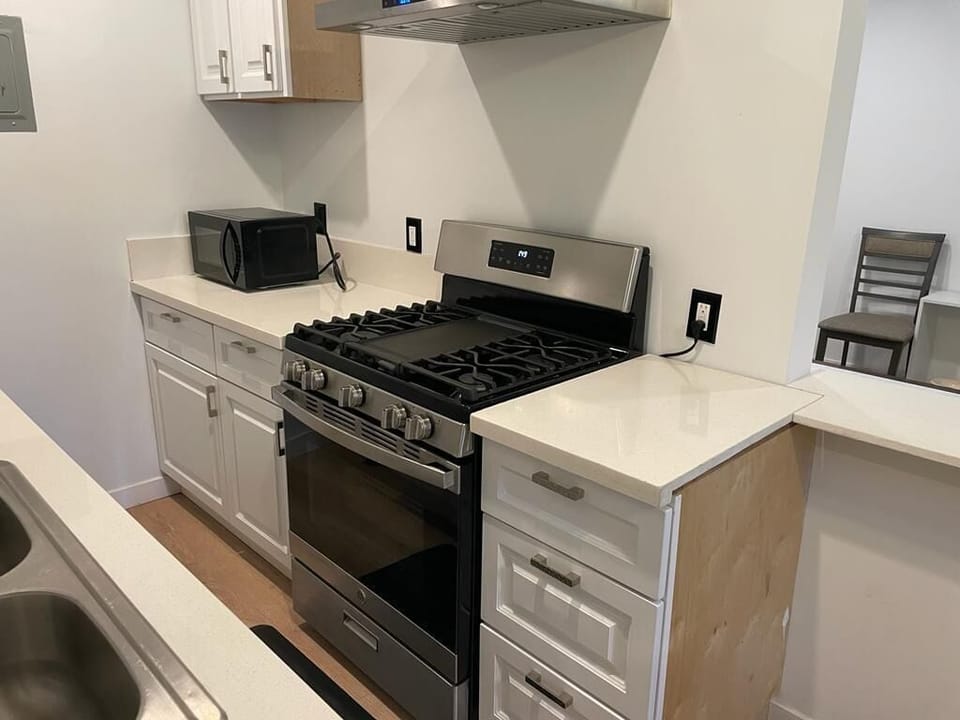 Deluxe Apartment | Private kitchen | Fridge, microwave, cookware/dishes/utensils