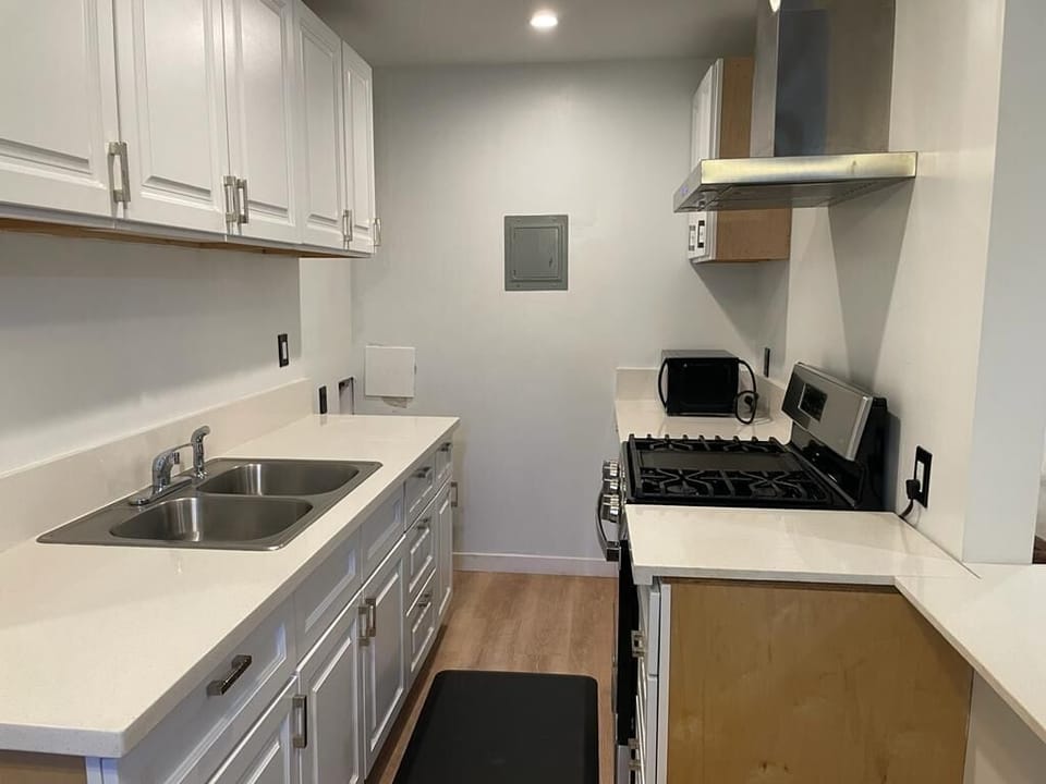 Deluxe Apartment | Private kitchen | Fridge, microwave, cookware/dishes/utensils