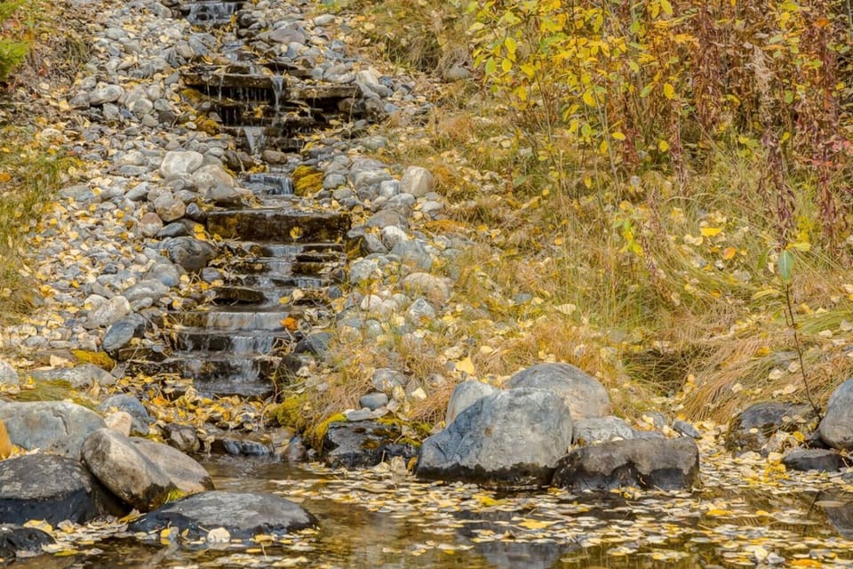 perfect small stream and pond on property