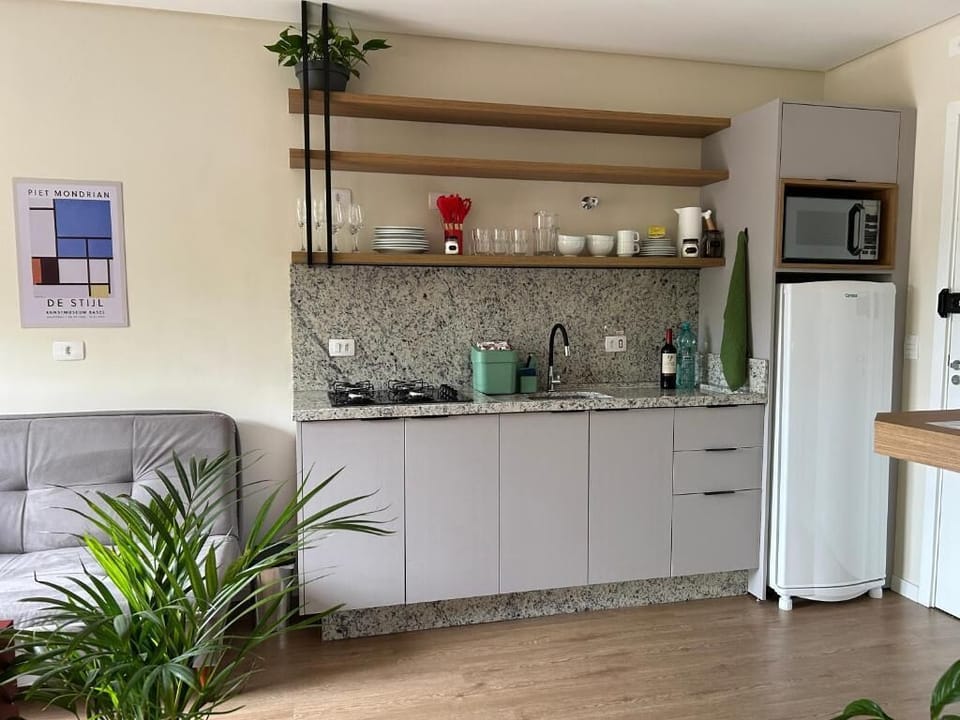 Fridge, microwave, stovetop, electric kettle