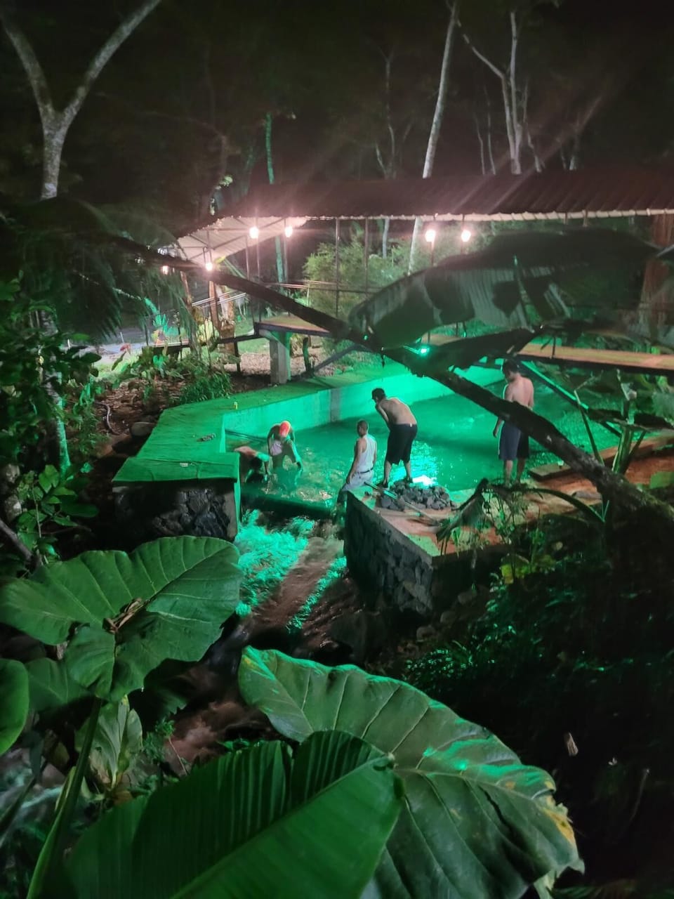 Pool