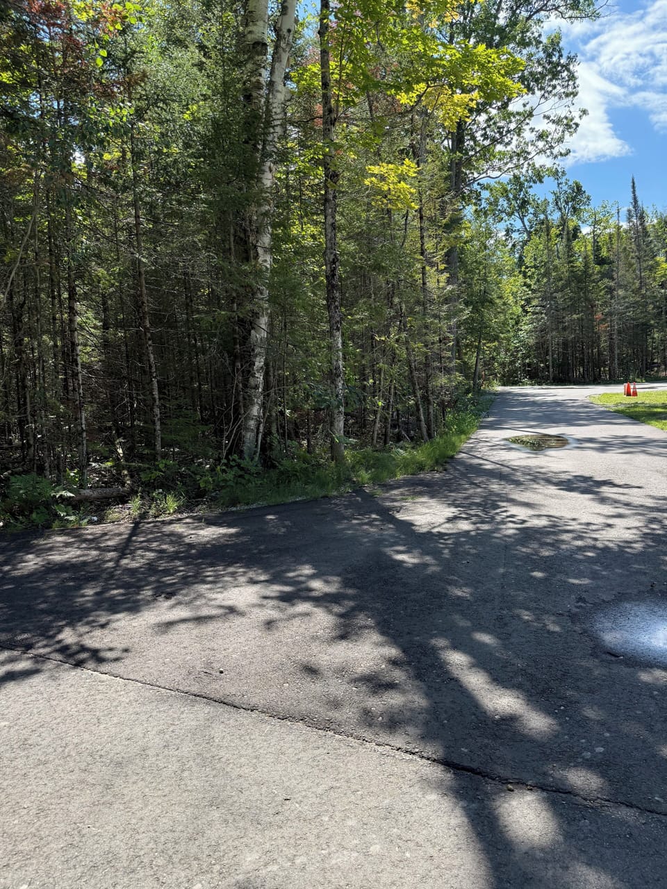 Driveway coming in