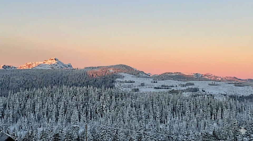 Condo | Miscellaneous