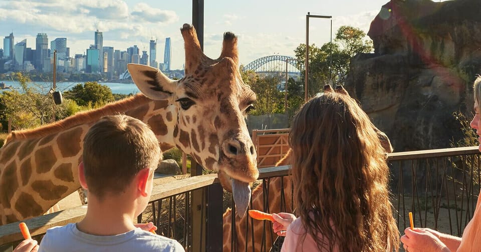 Experience Taronga Zoo, Sydney’s iconic wildlife destination! Meet Australia’s unique animals; from sleepy koalas to bounding kangaroos, enjoy up-close encounters, stunning harbour views, and a fun, educational day out for all ages.