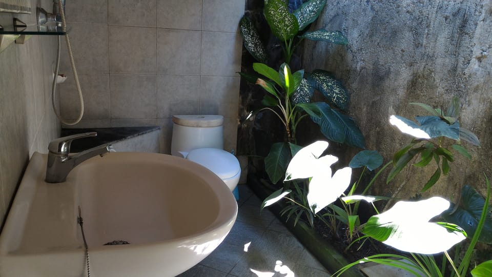 Standard Room | Bathroom | Shower, free toiletries, towels