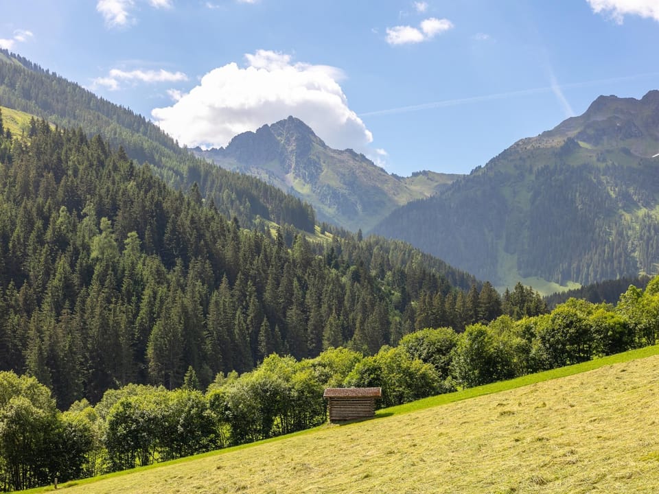 View from Holiday Home [summer]