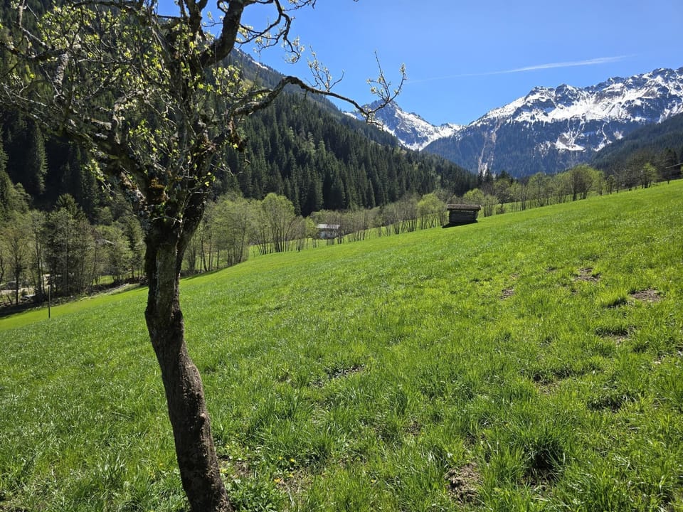 View from Holiday Home [summer]