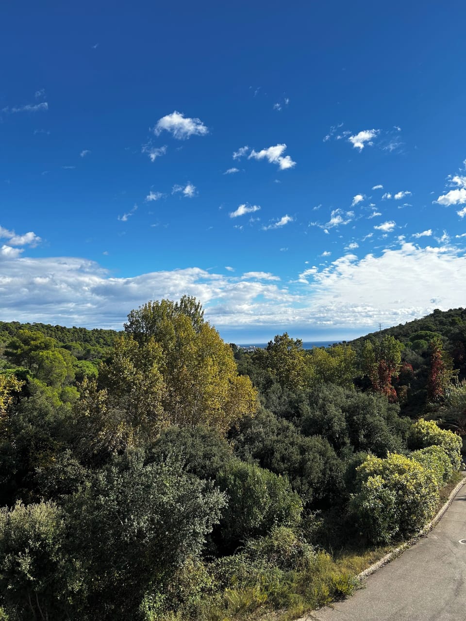View from upstairs balcony