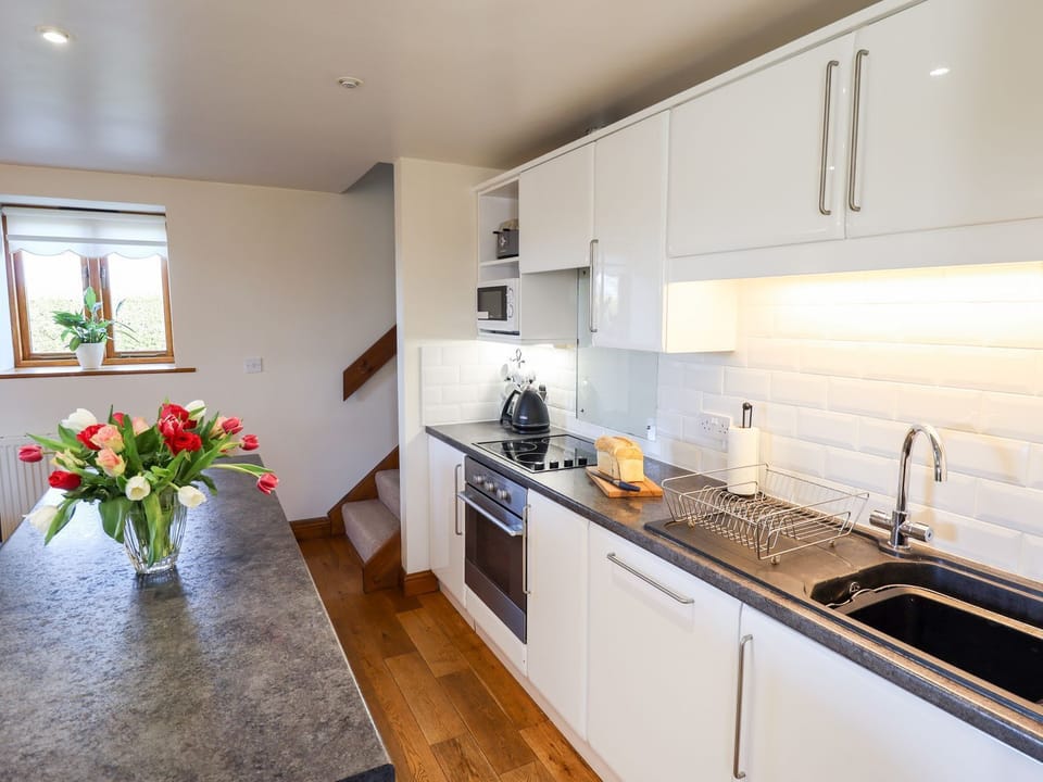 Fridge, microwave, dishwasher, cookware/dishes/utensils