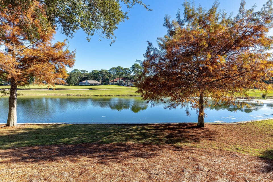 Beautiful autumn landscape with vibrant fall foliage surrounding a peaceful lake in the neighborhood area.