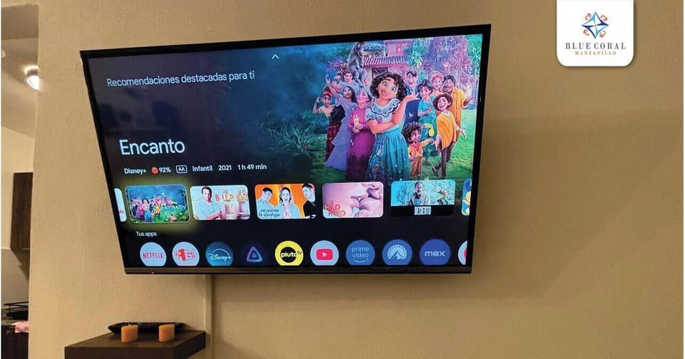 Television