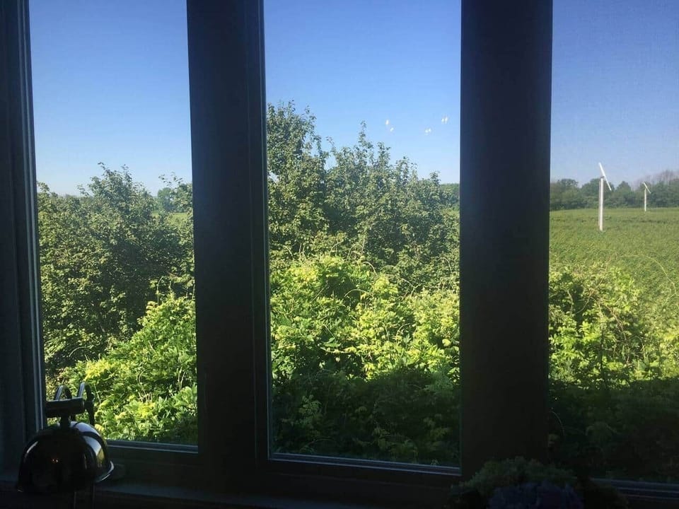 Middle window orchard view.