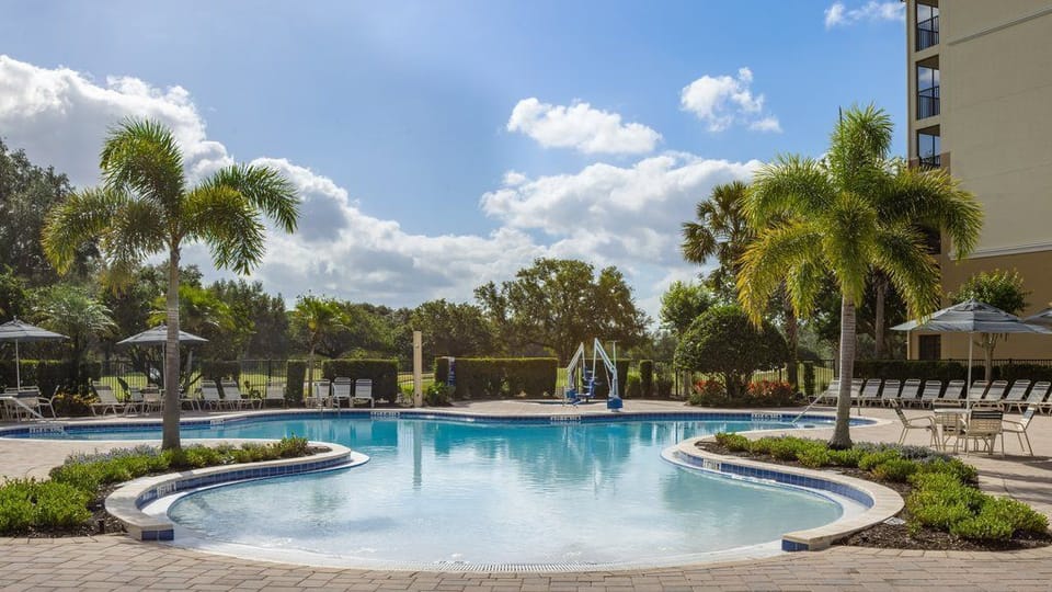 Bask in the sun by the serene pool, framed by swaying palms and tranquil waters.