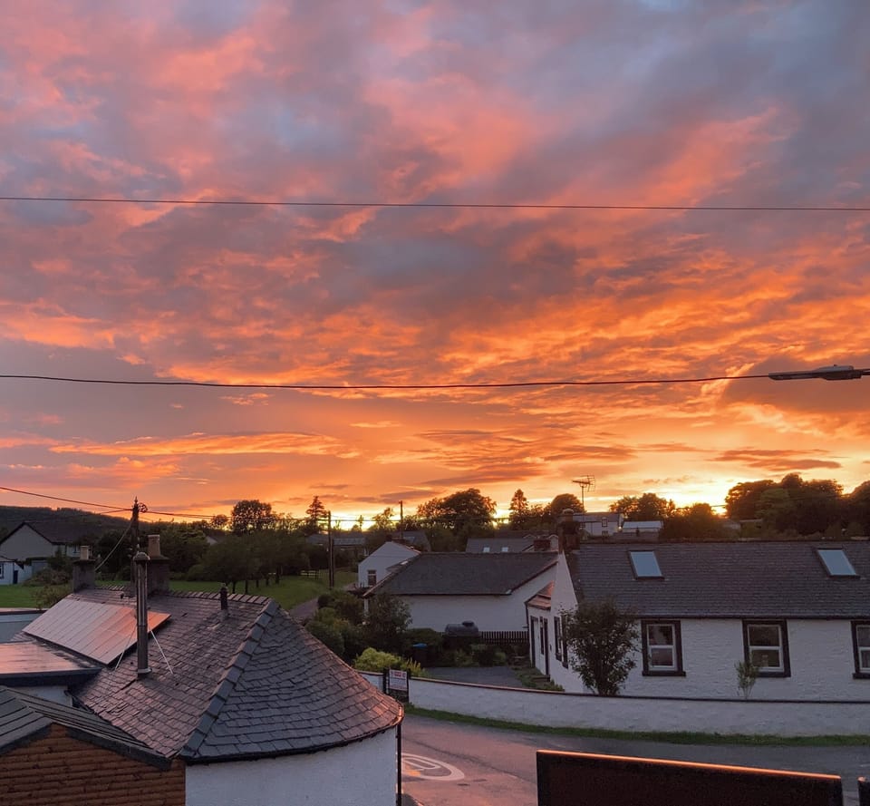 Standard Room, 1 King Bed | View from room