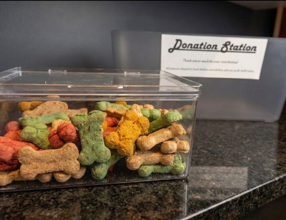 Friendly dogs are welcome to visit our lounge and pick up a treat.