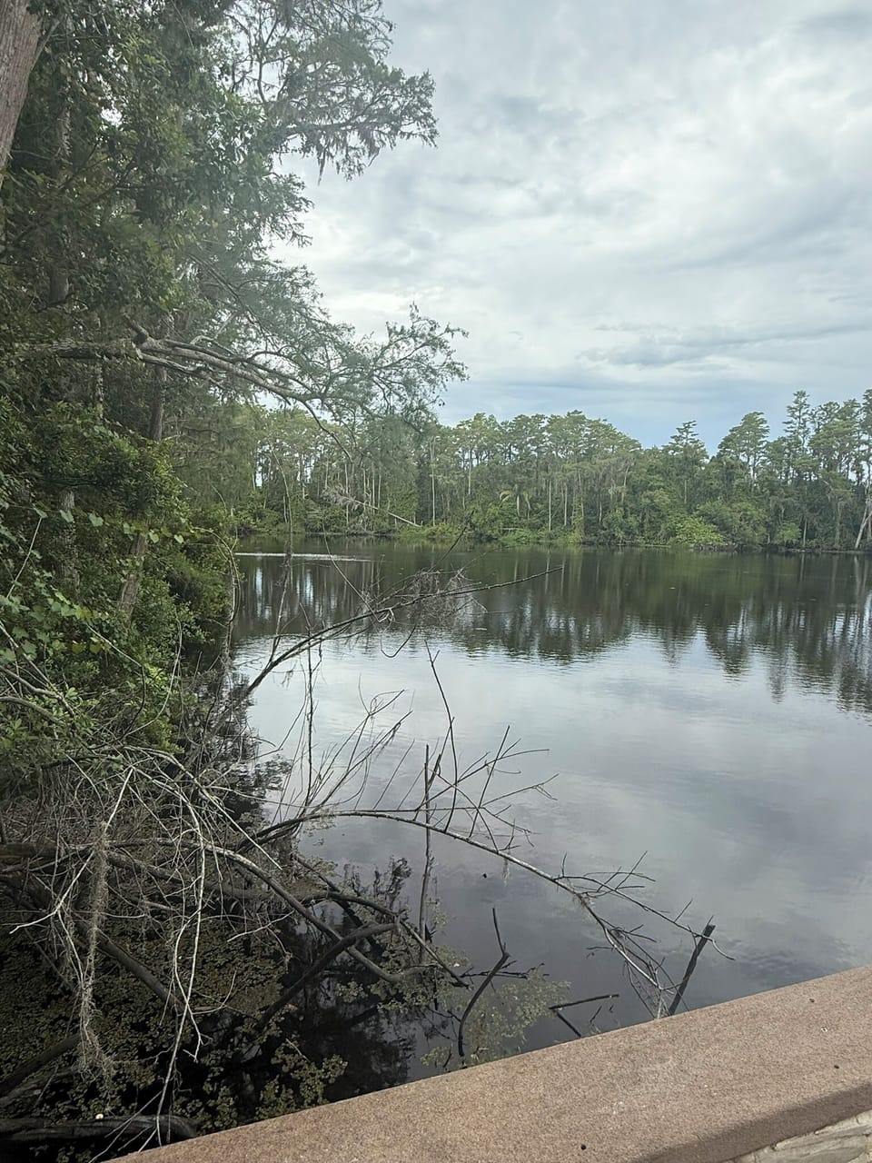The lake
