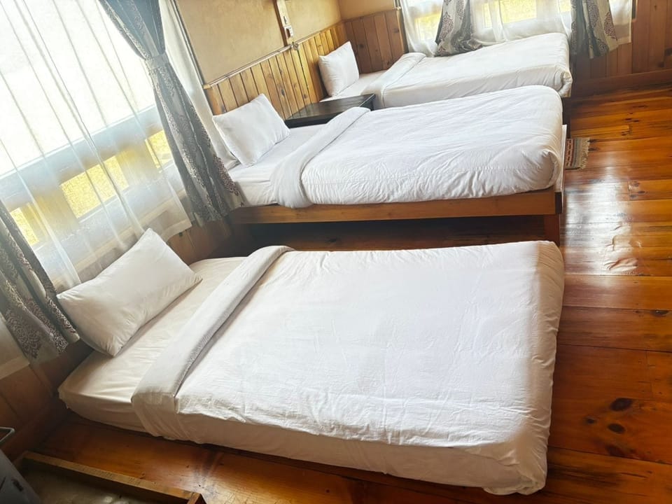 Standard Double or Twin Room, Mountain View | WiFi (free)