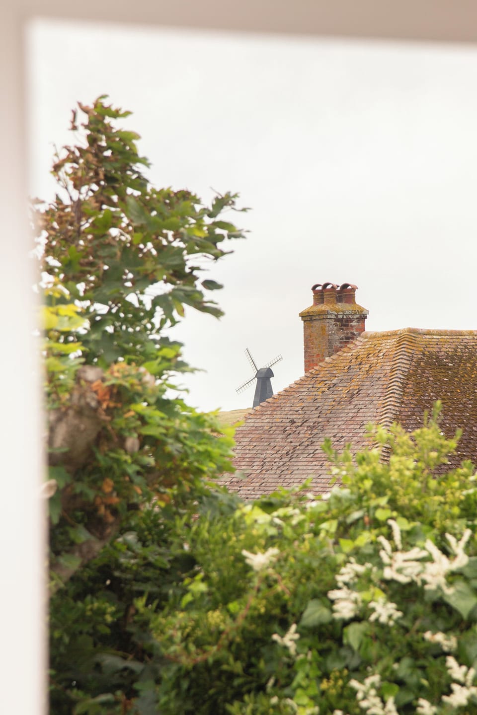 Views of Rottingdean windmill from the back garden 