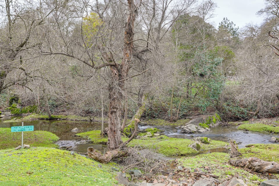 Creek Views