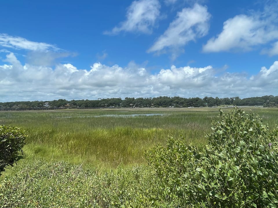 close up of the Intracoastal, just steps from the home