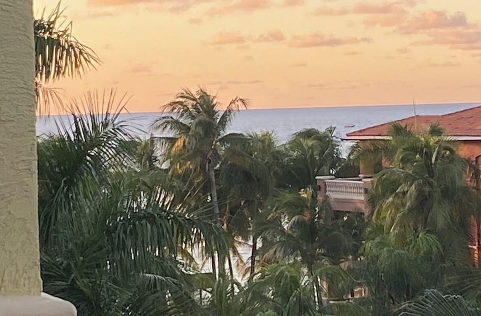 View from property