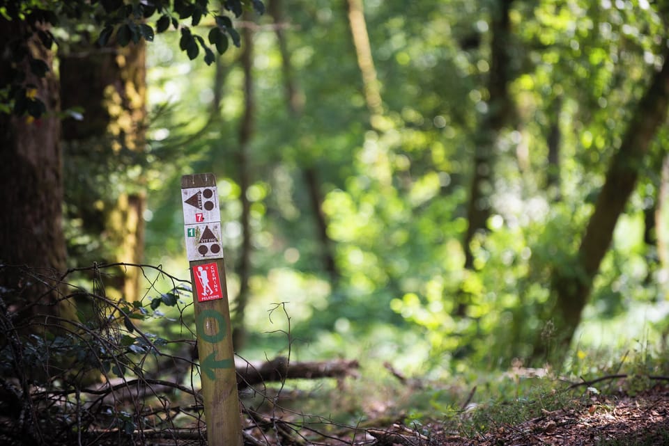 Hiking