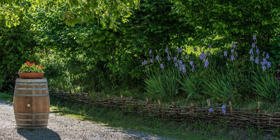 Shrub, Garden, Plant Community, Groundcover, Spring, Barrel, Herbaceous Plant, Botanical Garden, Landscaping