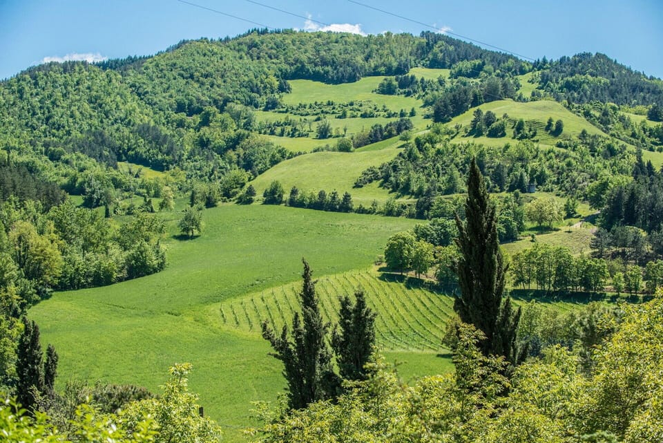 Mountainous Landforms, Green, Tree, Mountain, Hill, Natural Environment, Leaf, Natural Landscape, Vegetation, Highland