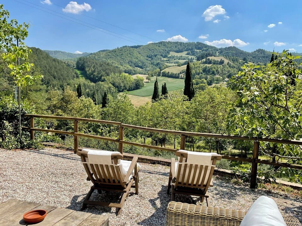 Tree, Landscape, Furniture, Outdoor Furniture, Forest, Spring, Outdoor Table, Shade, Hill Station, Hardwood