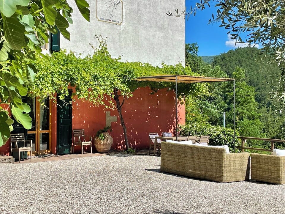Furniture, Shrub, Outdoor Furniture, Flowerpot, Shade, Chair, Outdoor Table, Garden, Yard