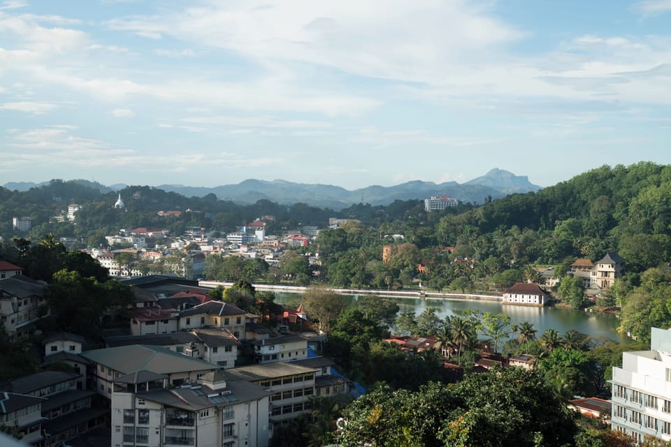 View from property