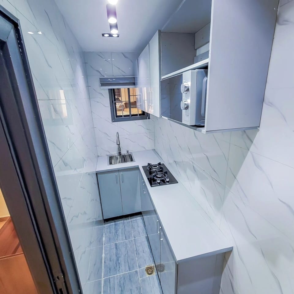 Family Apartment, Balcony, City View | Private kitchen | Fridge, microwave, oven, stovetop